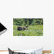Bull Moose Velvet Wall Decal