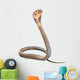 Cobra Wall Decal