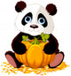 Cute Panda