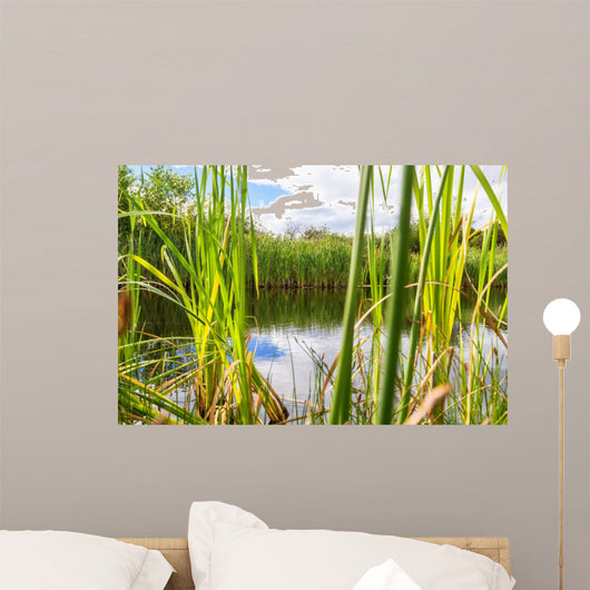 Beautiful Summer Lake