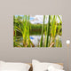 Beautiful Summer Lake
