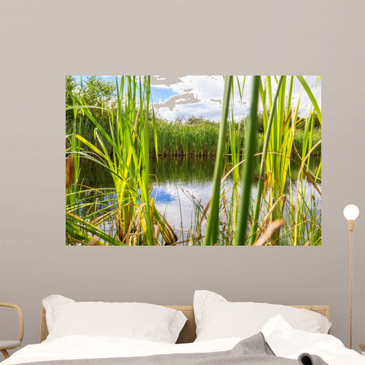 Beautiful Summer Lake
