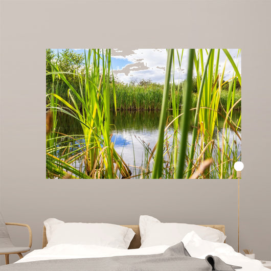 Beautiful Summer Lake