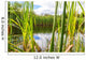 Beautiful Summer Lake