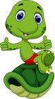 Cute Turtle Sitting Top