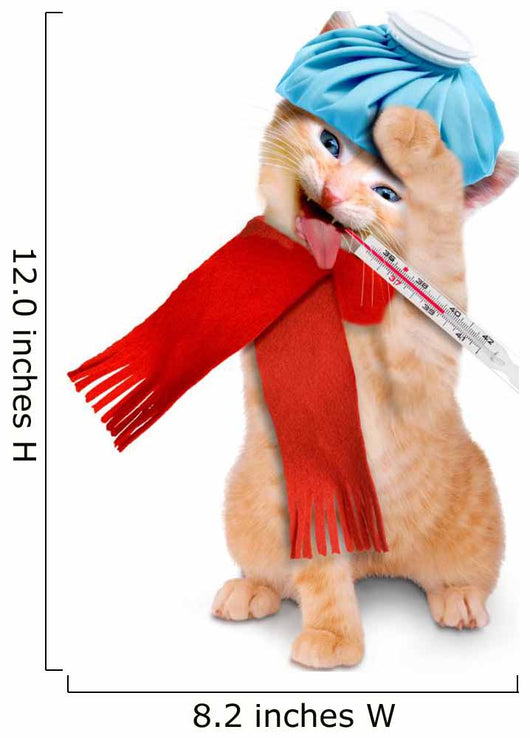 Sick Cat with Ice