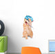 Sick Cat Wall Decal