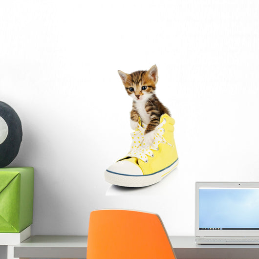 Cute Little Kitten Shoes