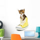 Cute Little Kitten Shoes