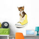 Cute Little Kitten Shoes