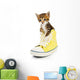 Cute Little Kitten Shoes