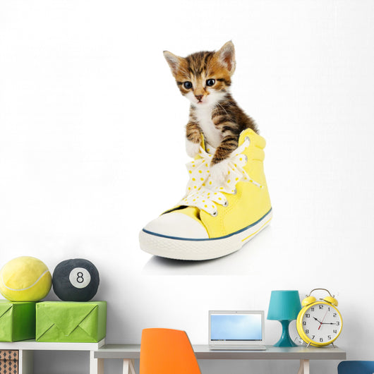 Cute Little Kitten Shoes