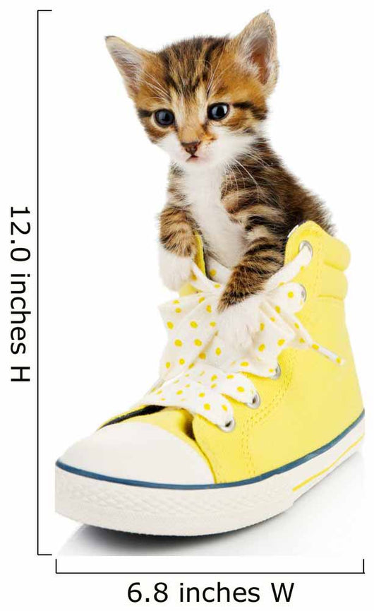 Cute Little Kitten Shoes