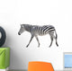 Zebra White