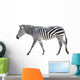 Zebra White