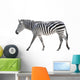 Zebra White