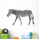 Zebra White