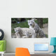 Snow Leopard Mum and Wall Mural