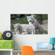 Snow Leopard Mum and Wall Mural