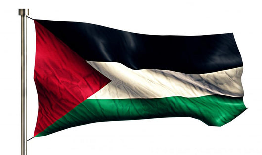 Palestine National Flag Wall Decal