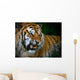 Snarling Tiger Wall Mural