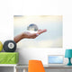 Crystal ball on hand Wall Mural