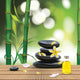 Vector Beautiful Spa Composition with Zen Stones Wall Mural