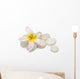 Frangipani Pebbles