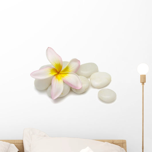Frangipani Pebbles