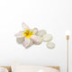 Frangipani Pebbles