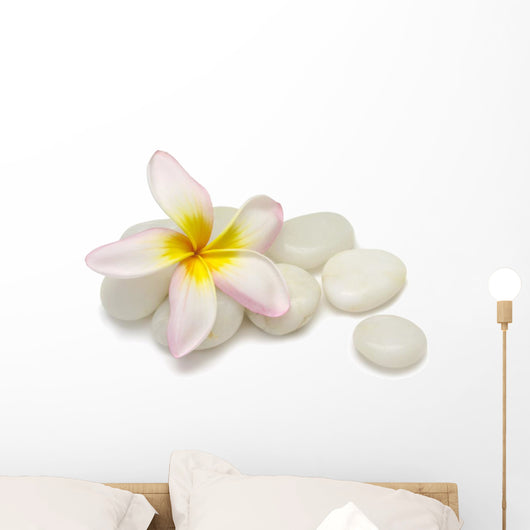 Frangipani Pebbles