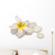 Frangipani Pebbles