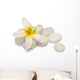 Frangipani Pebbles