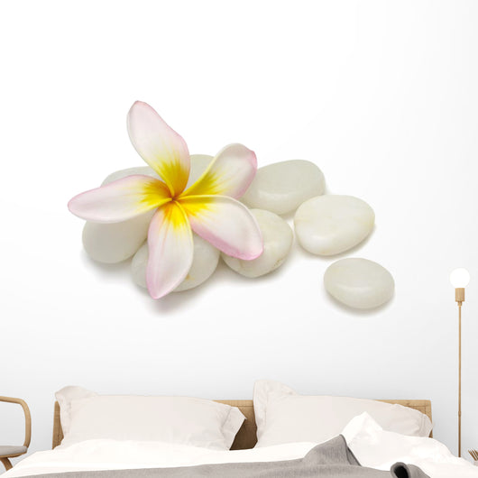Frangipani Pebbles