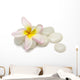 Frangipani Pebbles