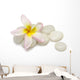 Frangipani Pebbles