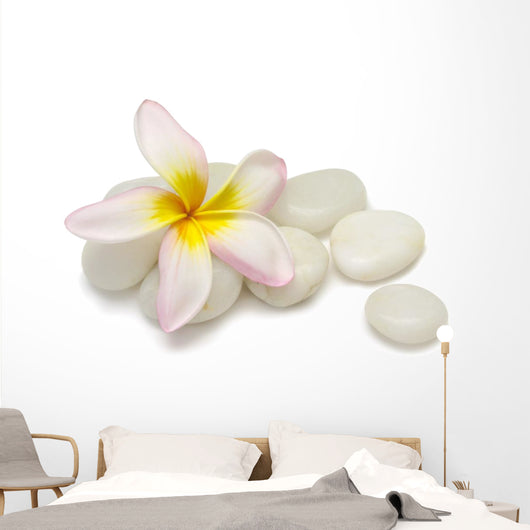 Frangipani Pebbles