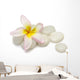 Frangipani Pebbles