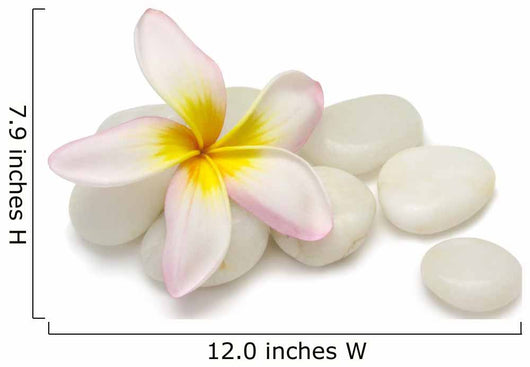 Frangipani Pebbles