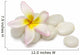 Frangipani Pebbles
