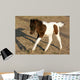 Newborn Pony Wall Mural