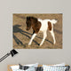Newborn Pony Wall Mural