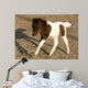 Newborn Pony Wall Mural