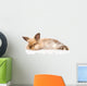 Fluffy Rabbit Wall Decal