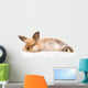 Fluffy Rabbit Wall Decal