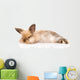 Fluffy Rabbit Wall Decal