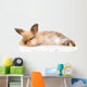 Fluffy Rabbit Wall Decal