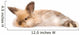 Fluffy Rabbit Wall Decal