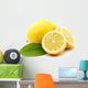 Lemons Wall Decal