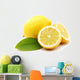 Lemons Wall Decal